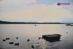 TYF_0788