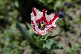TYC_0167