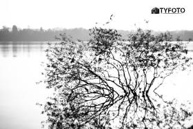 TYF_0568