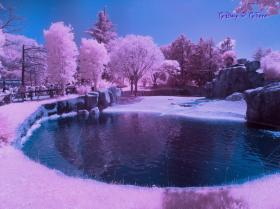 TY010113