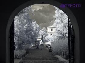 TY061877
