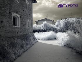 TY061879