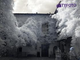 TY061876
