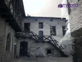 TY061874