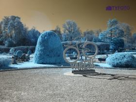 TY011911