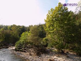 TY050452