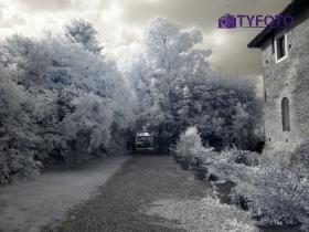TY061872