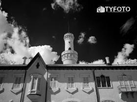 TY141901
