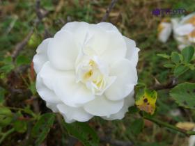 IMGP0076