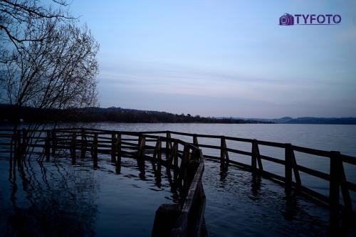 TYF_0211