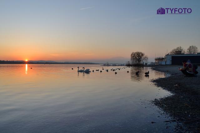 TYD_0169