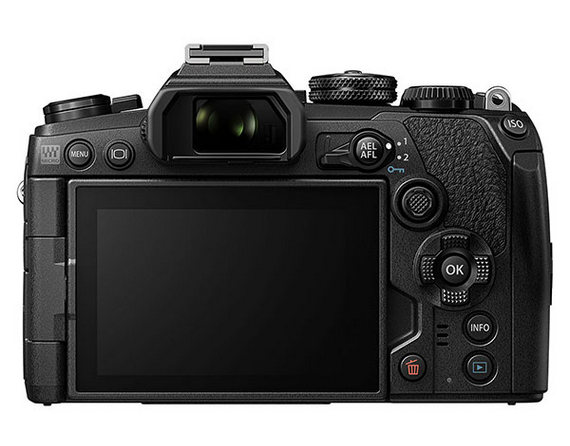 OlympusEM1IIIb